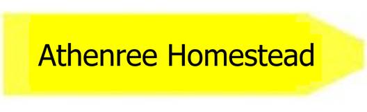 A yellow rectangle with black text

Description automatically generated