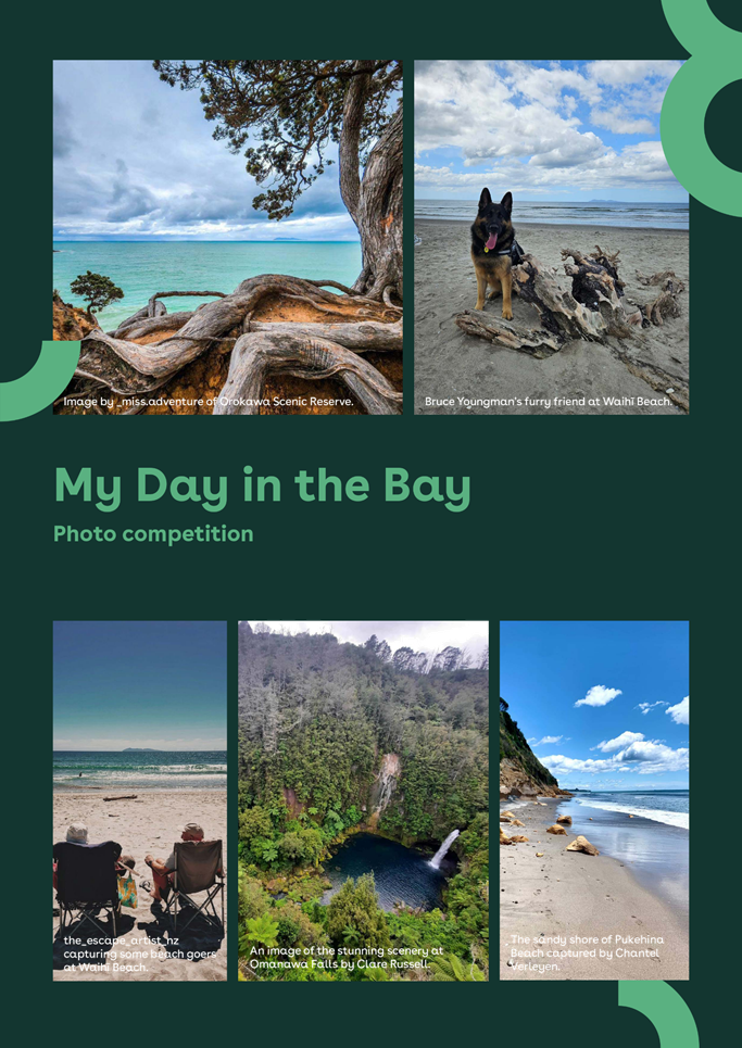 A collage of photos of a beach and a dog

Description automatically generated