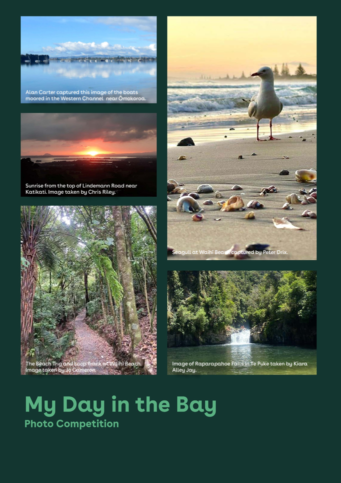 A collage of photos of a beach and a seagull

Description automatically generated