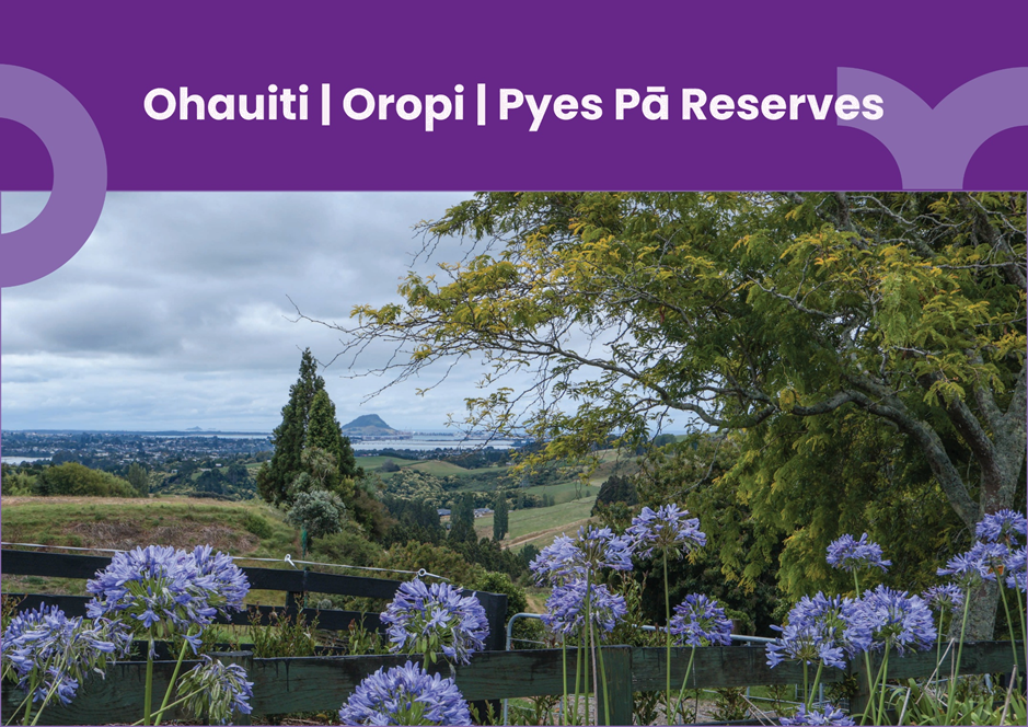 A purple flowers in front of a fence

AI-generated content may be incorrect.