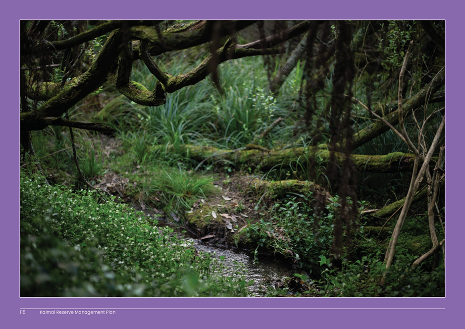 A stream in a forest

AI-generated content may be incorrect.
