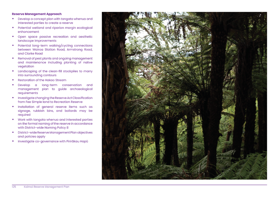 A close-up of a forest

AI-generated content may be incorrect.