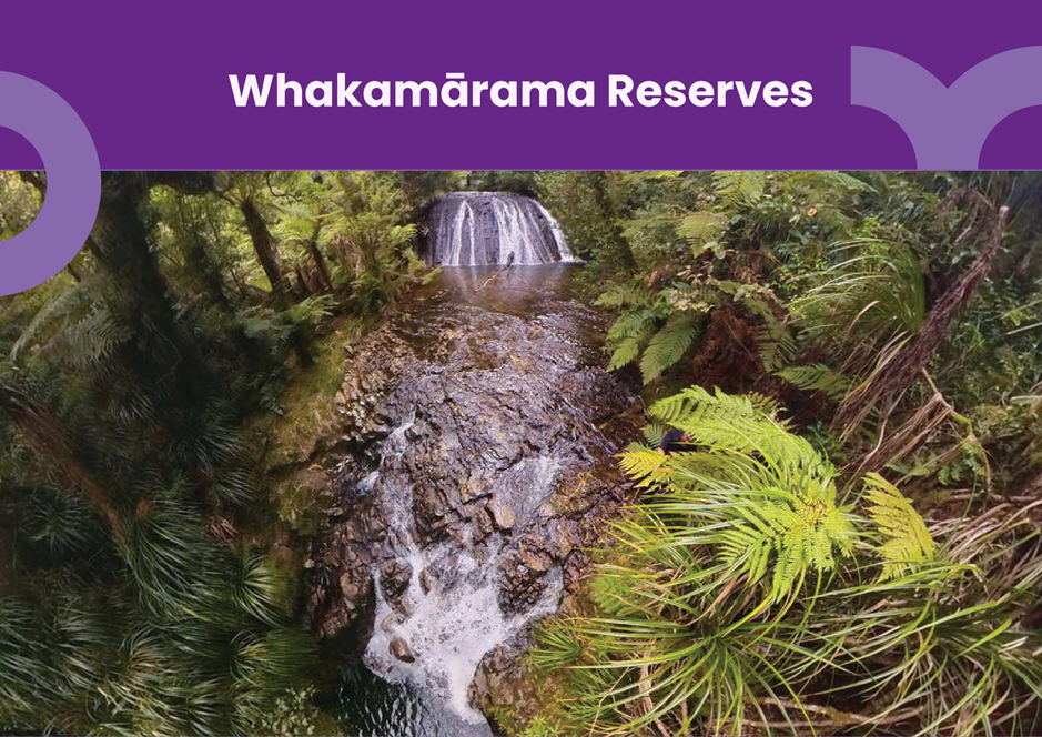 A waterfall in a forest

AI-generated content may be incorrect.