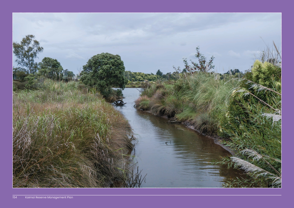 A river flowing through a grassy area

AI-generated content may be incorrect.