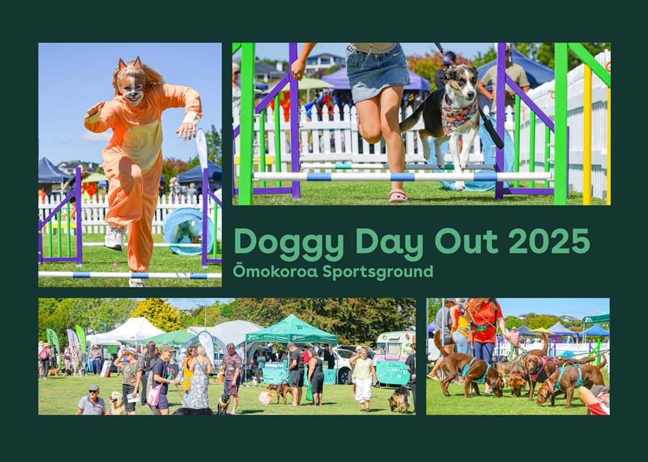 A collage of people running on a field

AI-generated content may be incorrect.