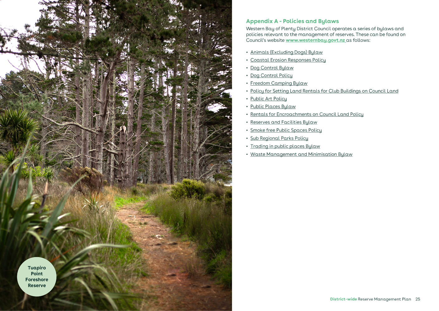 A trail through a forest

AI-generated content may be incorrect.